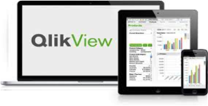 Qlik